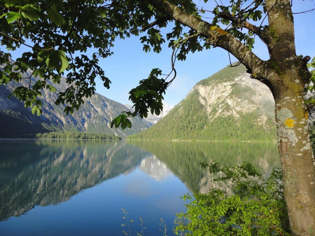 Alpenhotel Ammerwald Reuthe Buitenkant foto